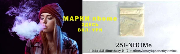 мдпв Богородицк