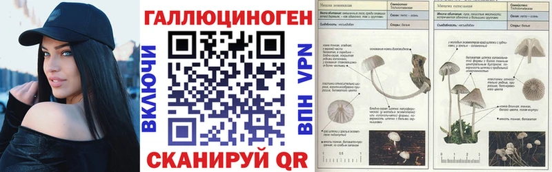наркошоп  Торжок  Галлюциногенные грибы MAGIC MUSHROOMS 