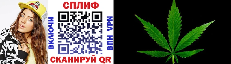 Бошки Шишки Amnesia  Торжок 